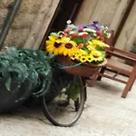 Sant\'Onofrio Apartment