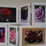 La Rosa Rossa