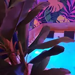 Suite Maison Tropical - Luxury Apartment In Bari