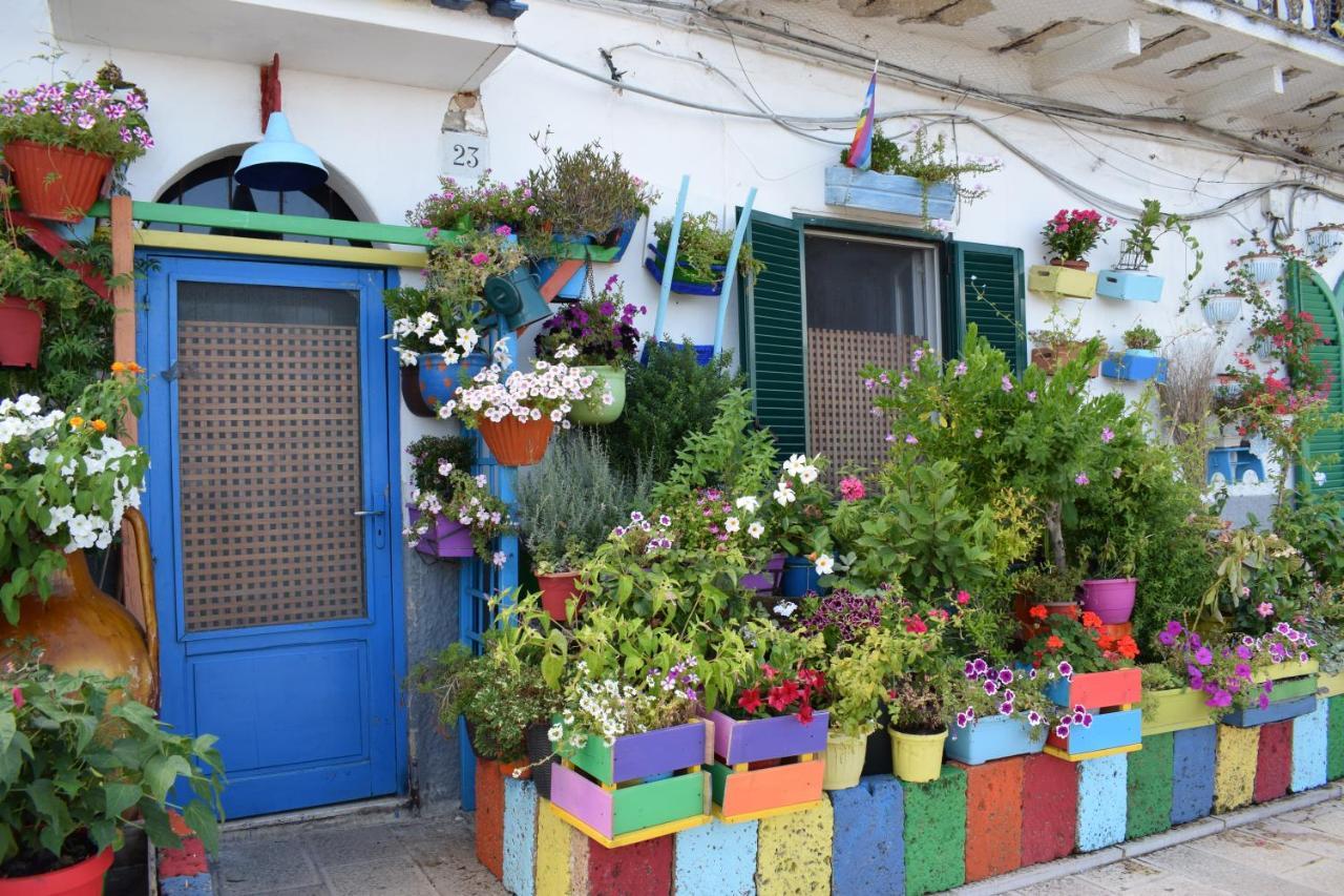 Casa Muchacha