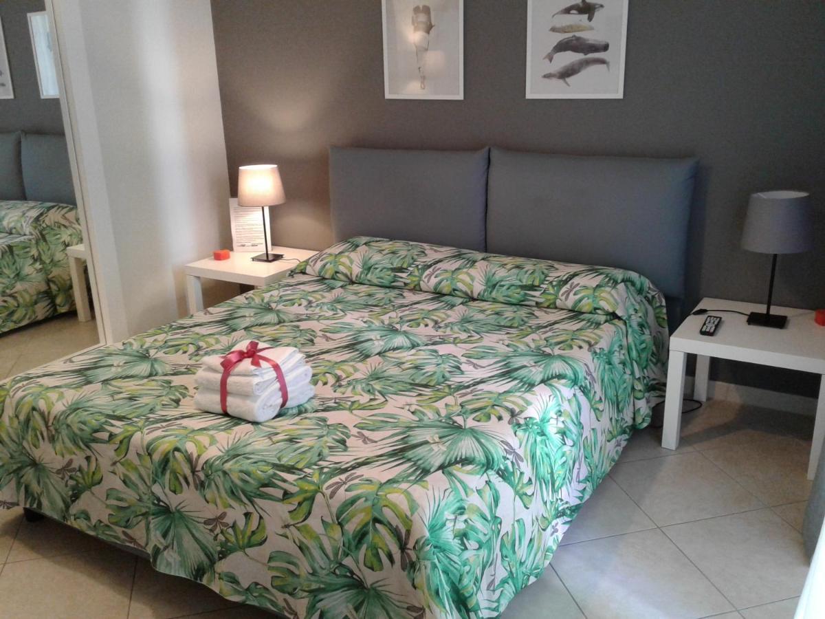 Bed & Breakfast Kaktus Bari