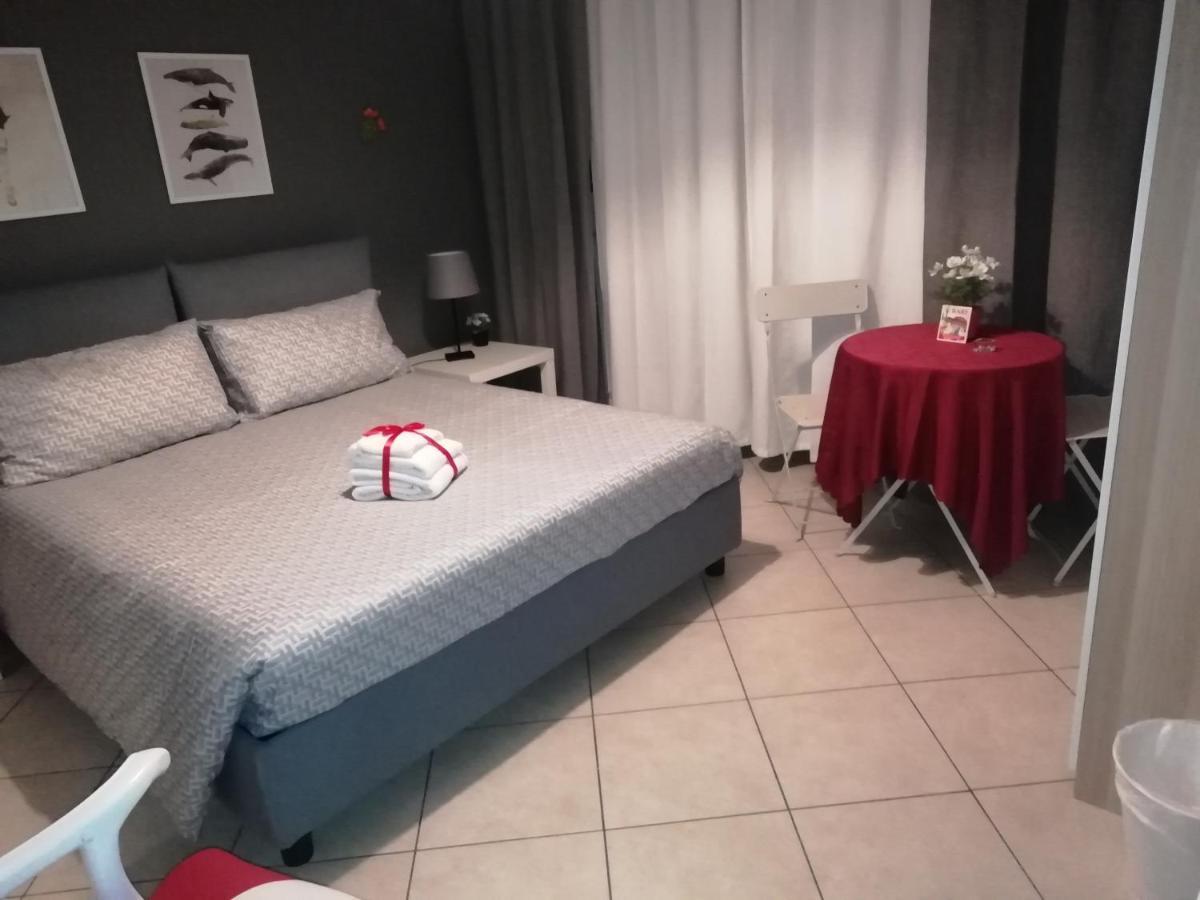 Kaktus 2*