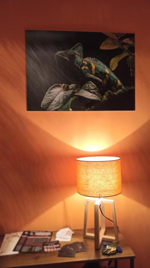 Appartement Maison Tropical - Luxury In *
