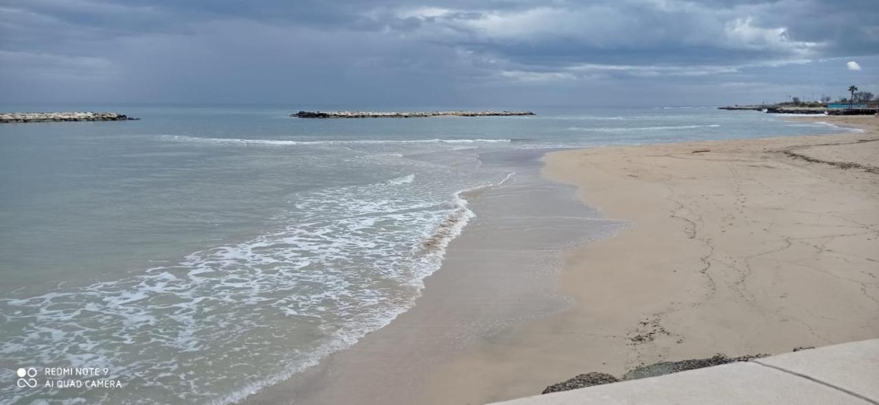 Marea 51 Bari