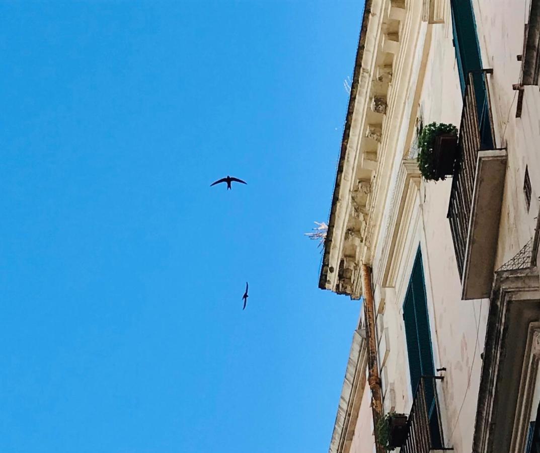 Panzió Via Dell'azzurra *