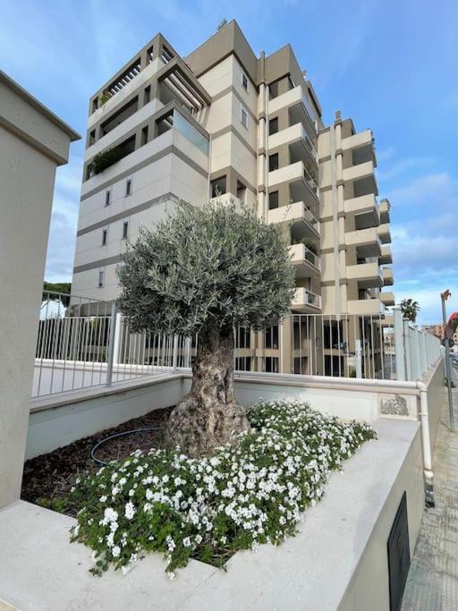Boulevard * Bari