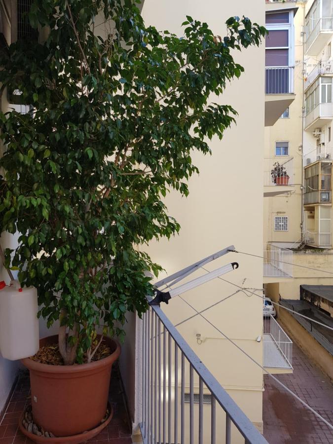 Apartment Casa Muchacha *