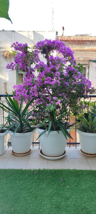 Giambattista House Gasthuis *
