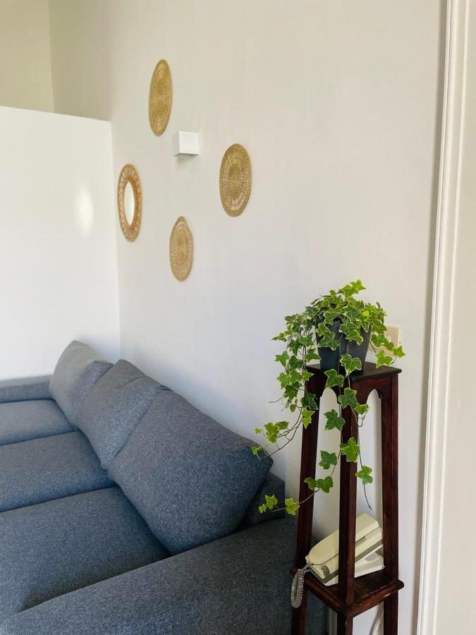 Apartment Bivu