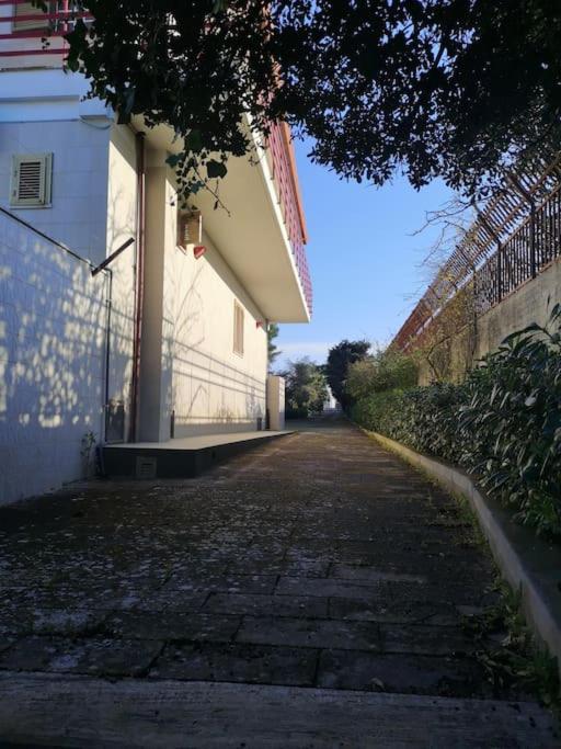 Lagioia 1 *