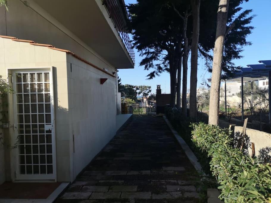 Lagioia 1 *
