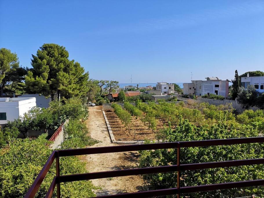 Lagioia 1 Villa Bari