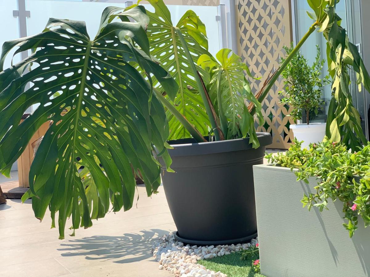 Dalu Terrace Bari