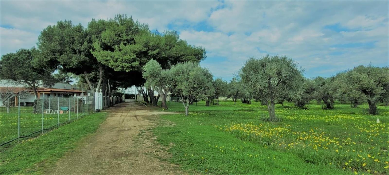 Laura Holiday home Bari