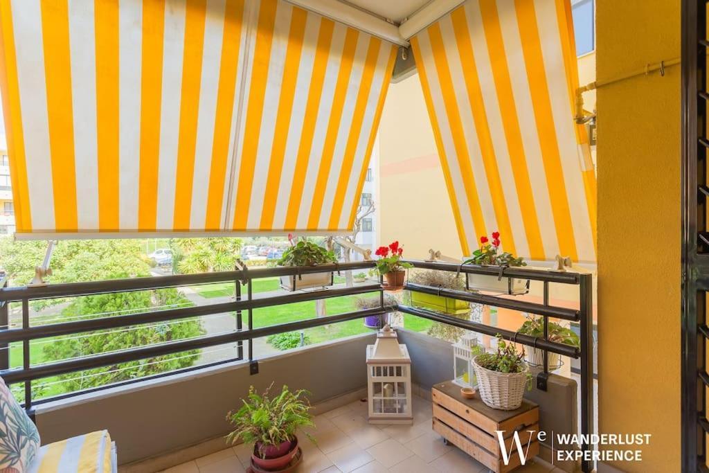 Wanderlust Experience Porzia *