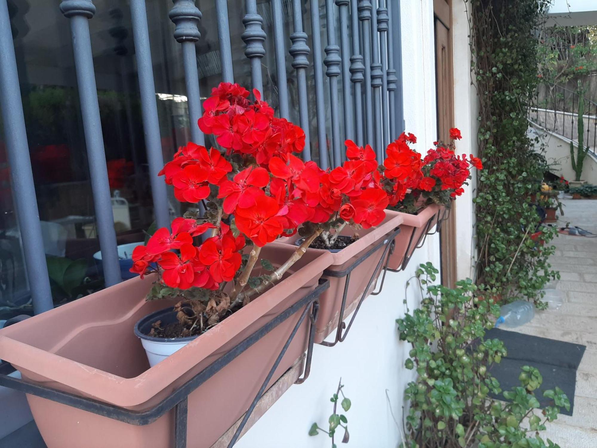 The Orange Groove Bed & Breakfast *