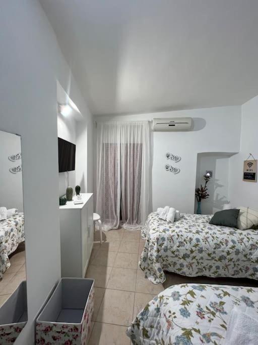“da Concetta” Apartment