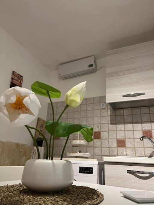 “da Concetta” Apartment Bari