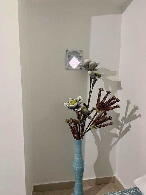 “da Concetta” Apartment *