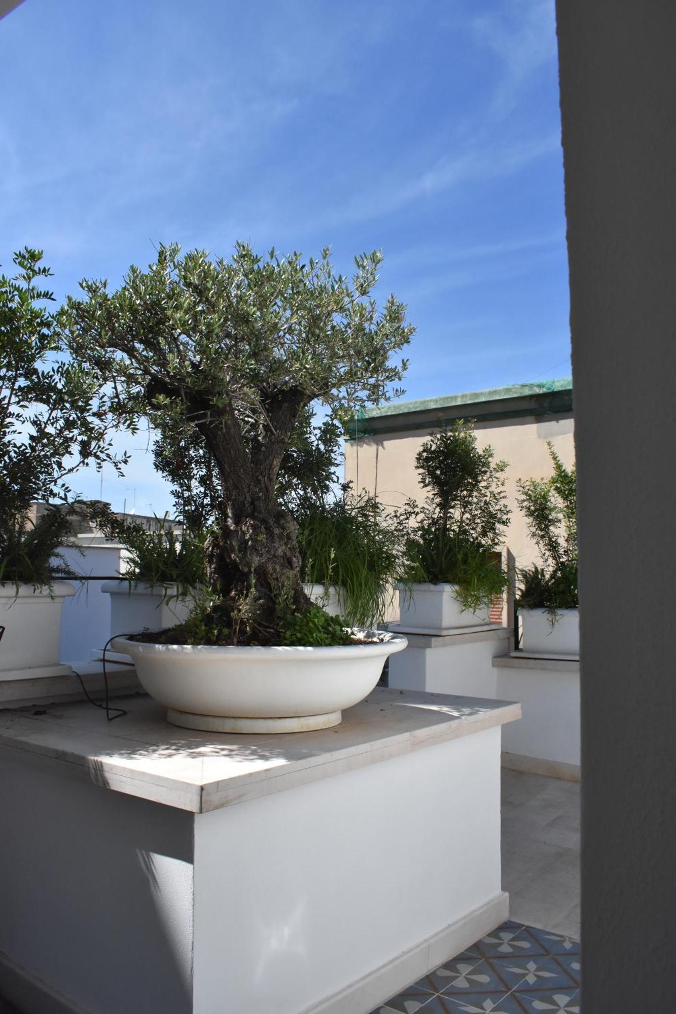 Saint Barth - Charming In Guest house *
