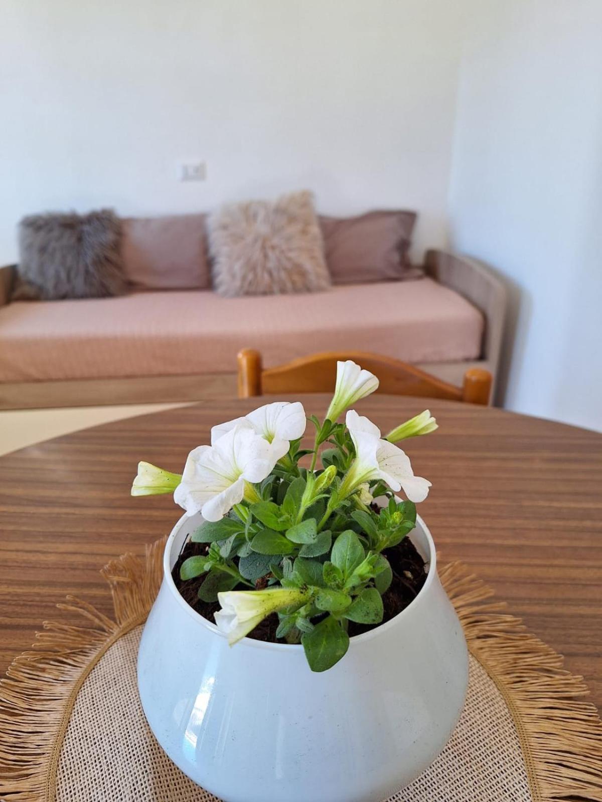 Ferienhaus La Casetta Di Nonna Rosa