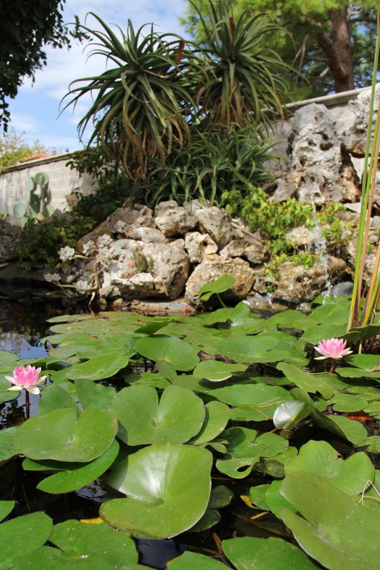 La Rosa Blu Bari