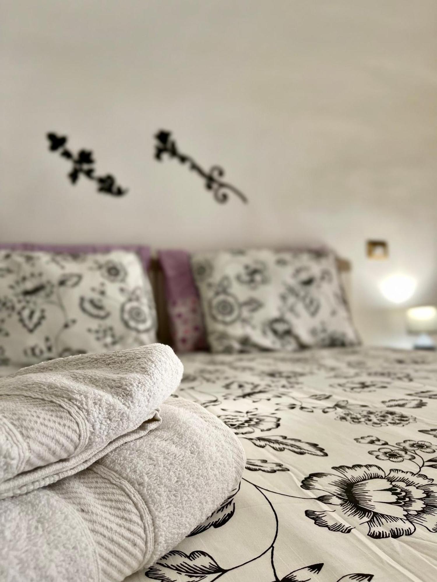 Appartement Oasis *