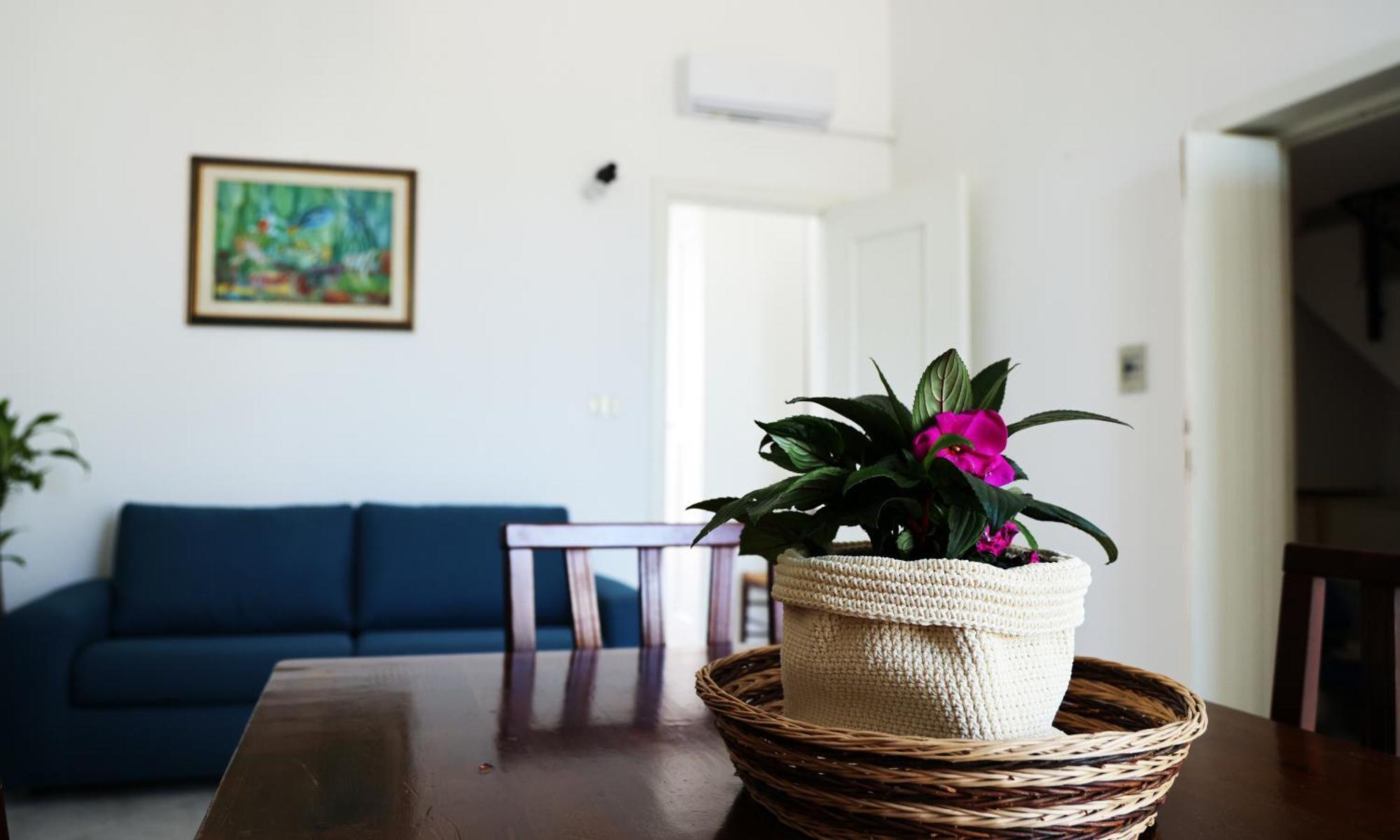 Apartment Terrazza Sul Mare *