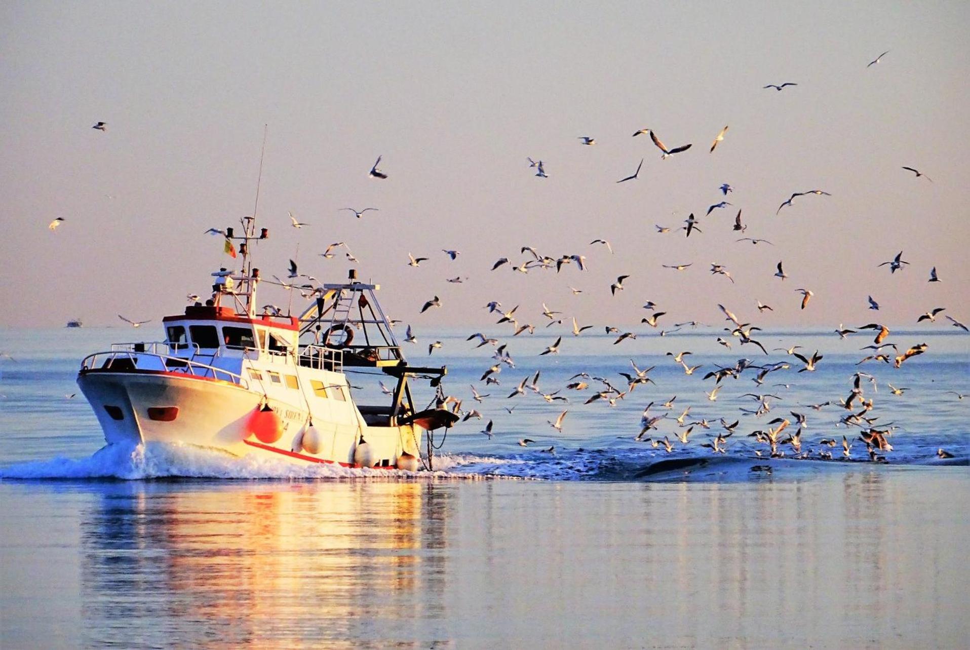 La Casa Del Pescatore N 33 - Porto Di St Spirito * Bari
