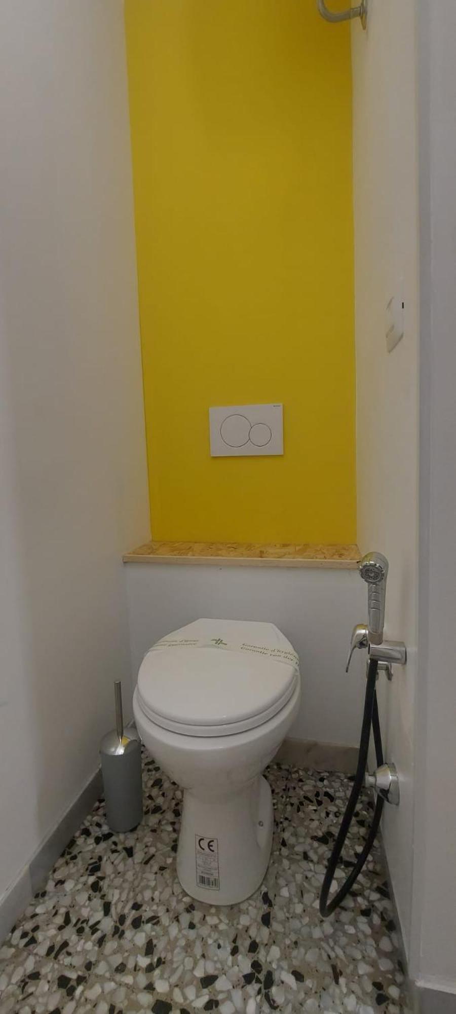 Kaktus 2 * Bari