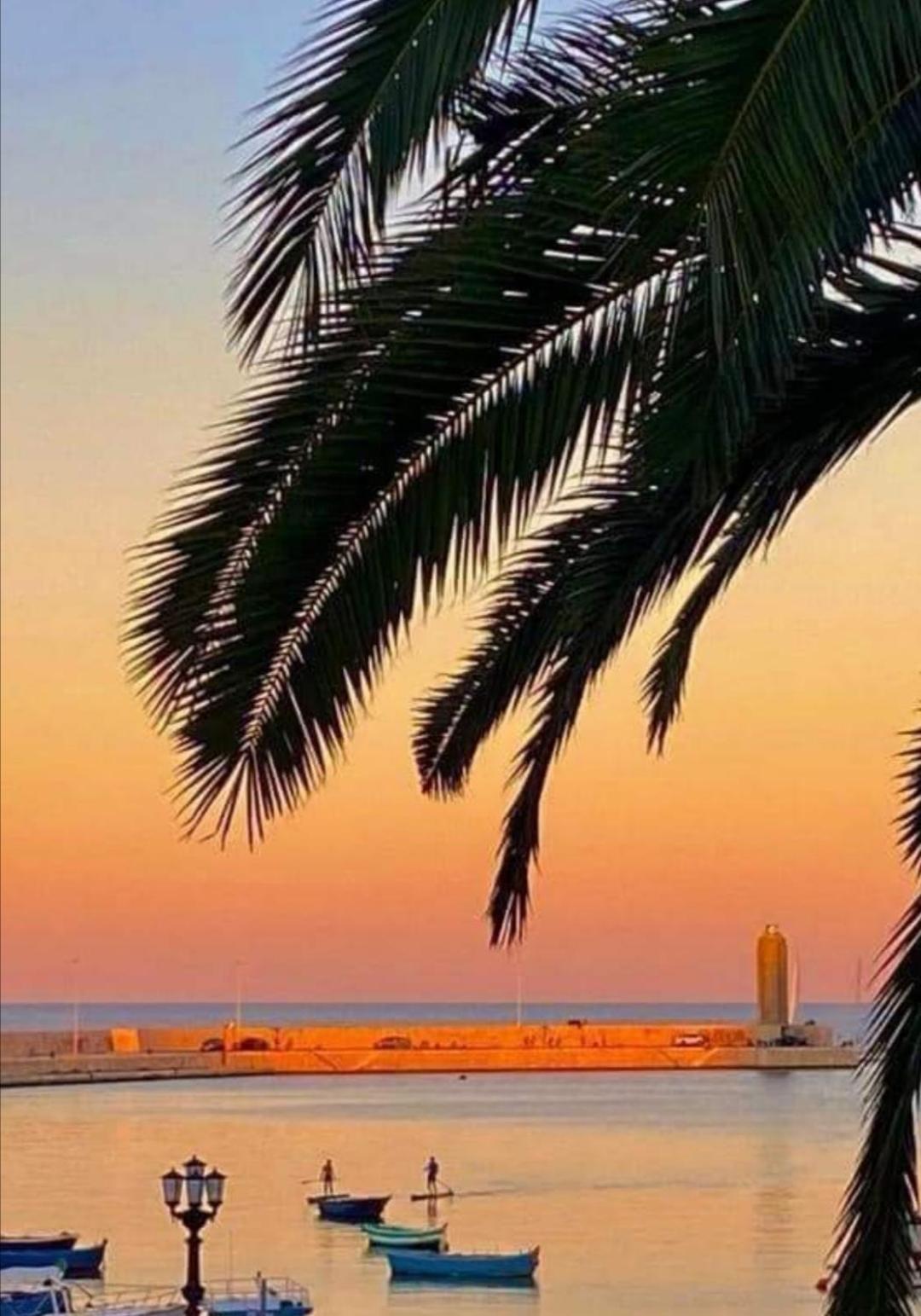 Apartment Summer Paradise *