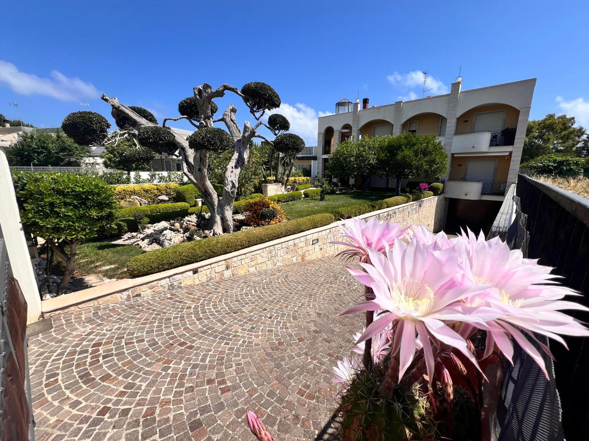 La Rosa Blu Bari