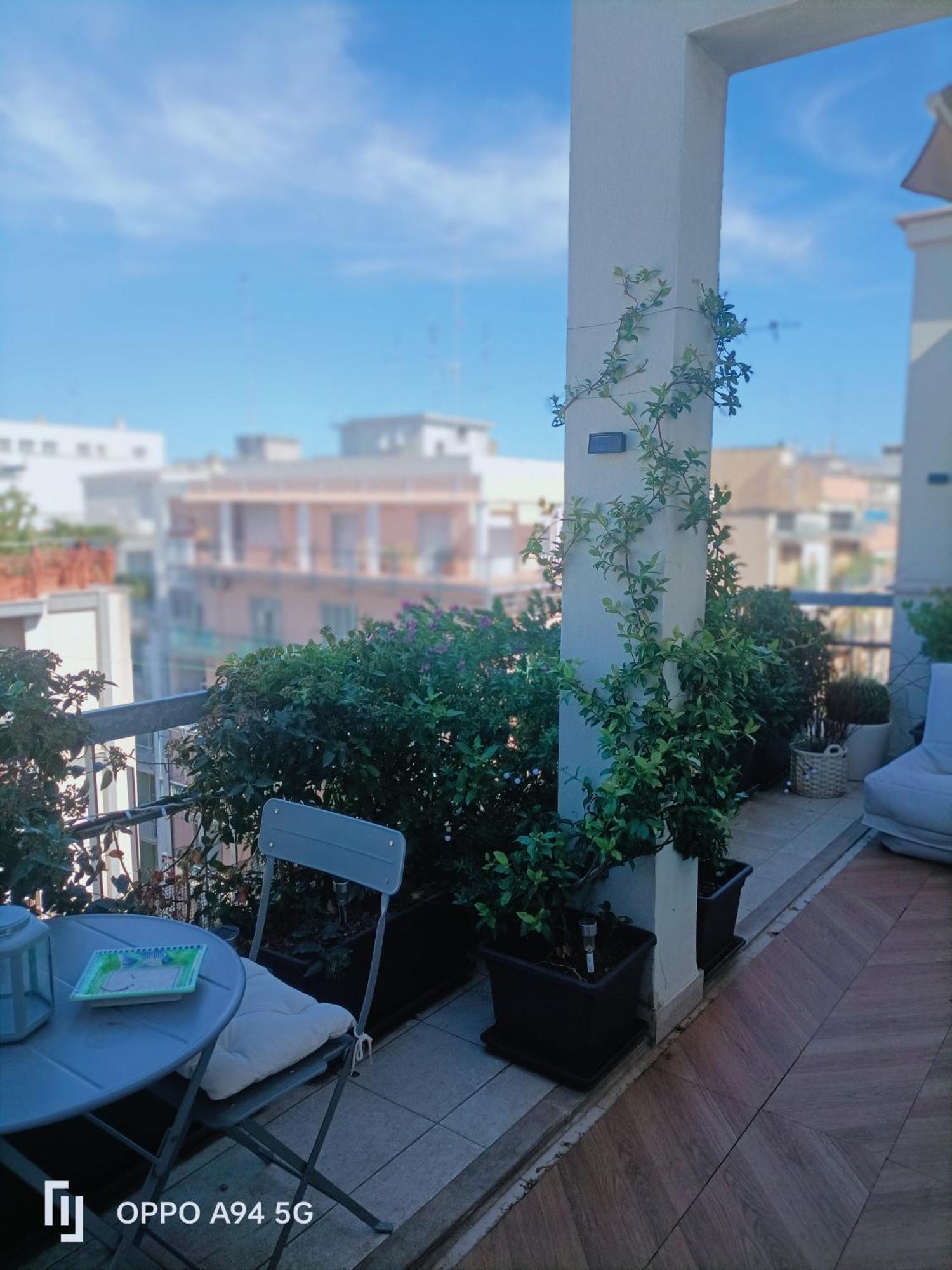 Apartment Noa's