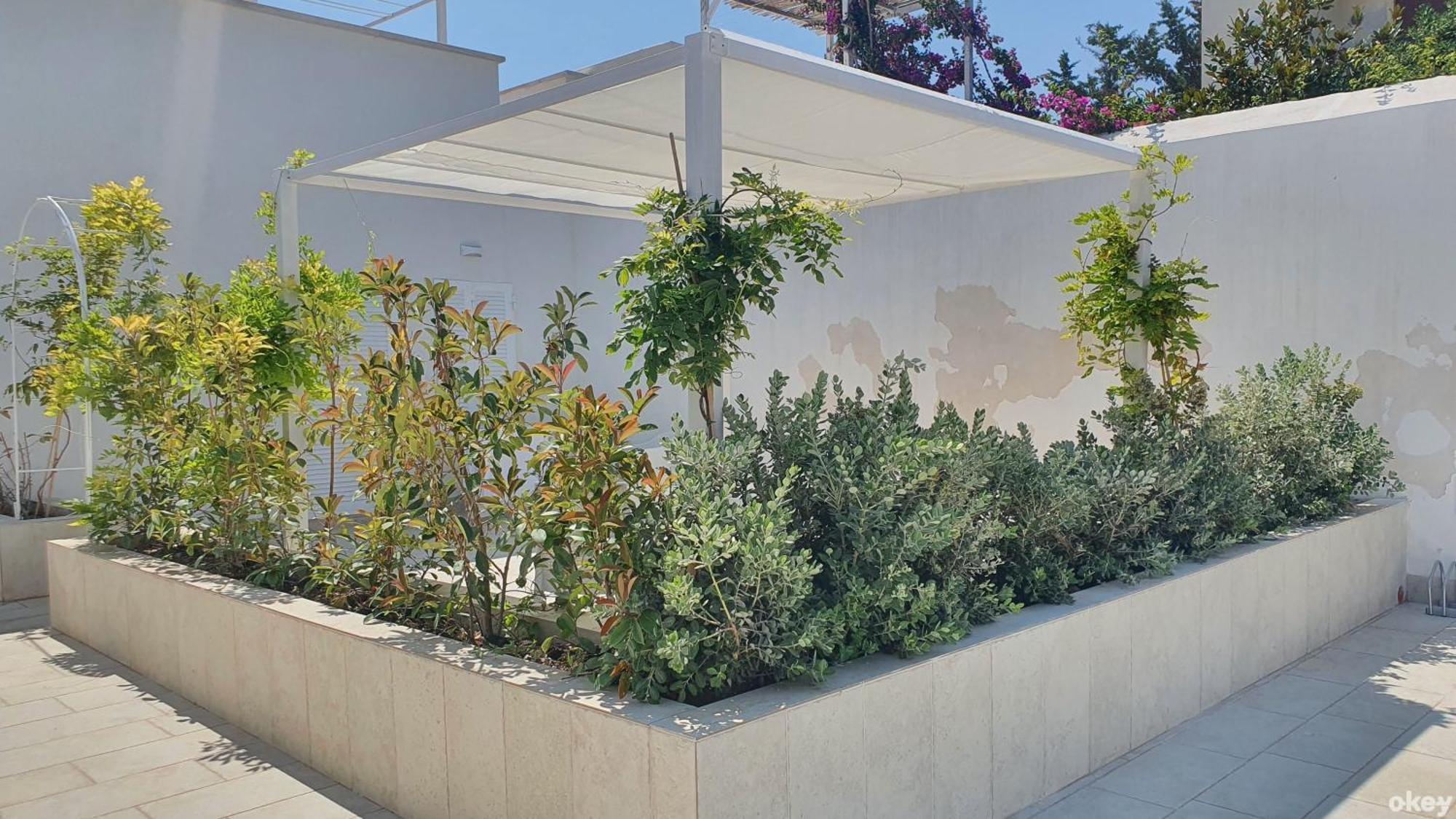 Apartment Mediterranea - Seaview, Pool & Garden