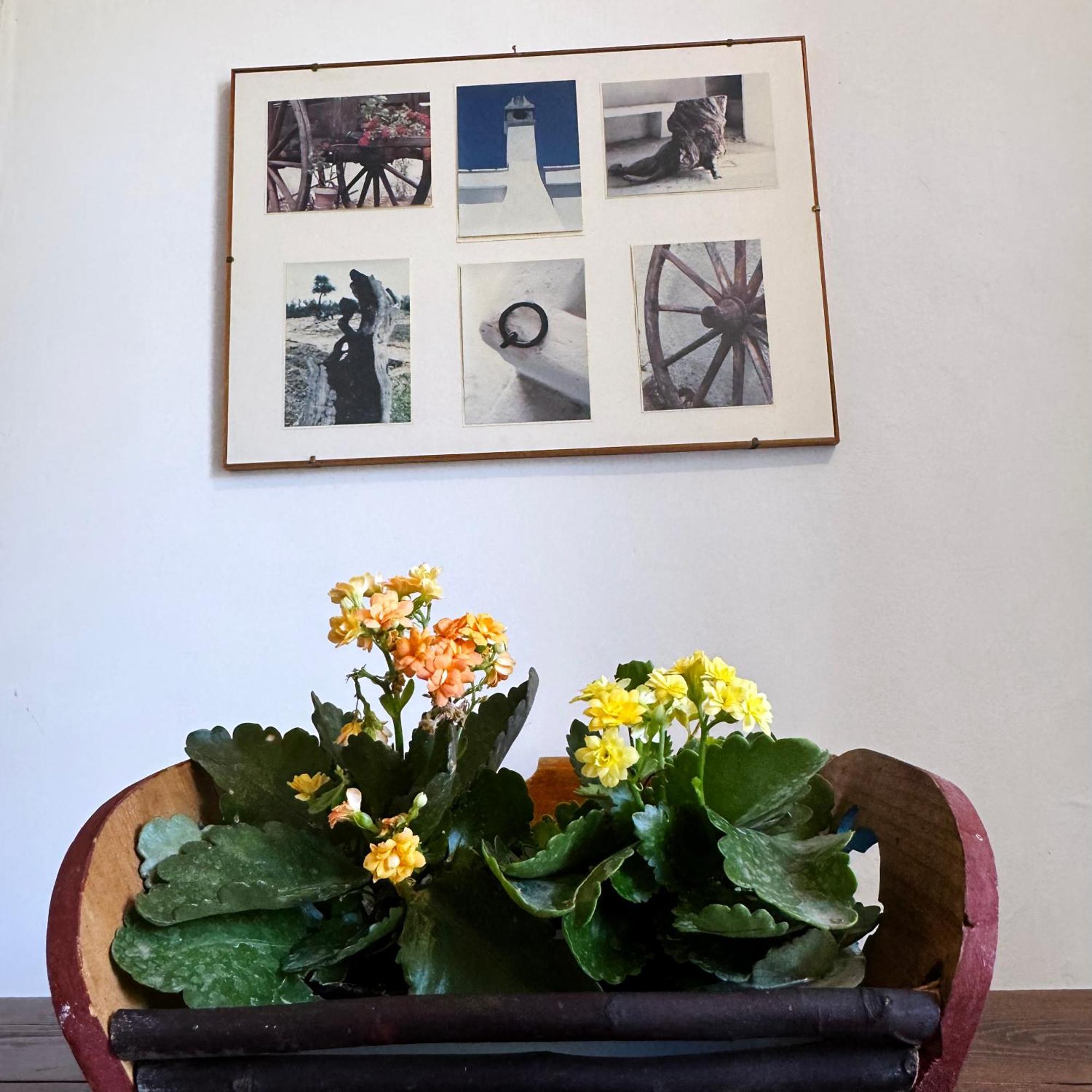Apartman Il Sentiero *
