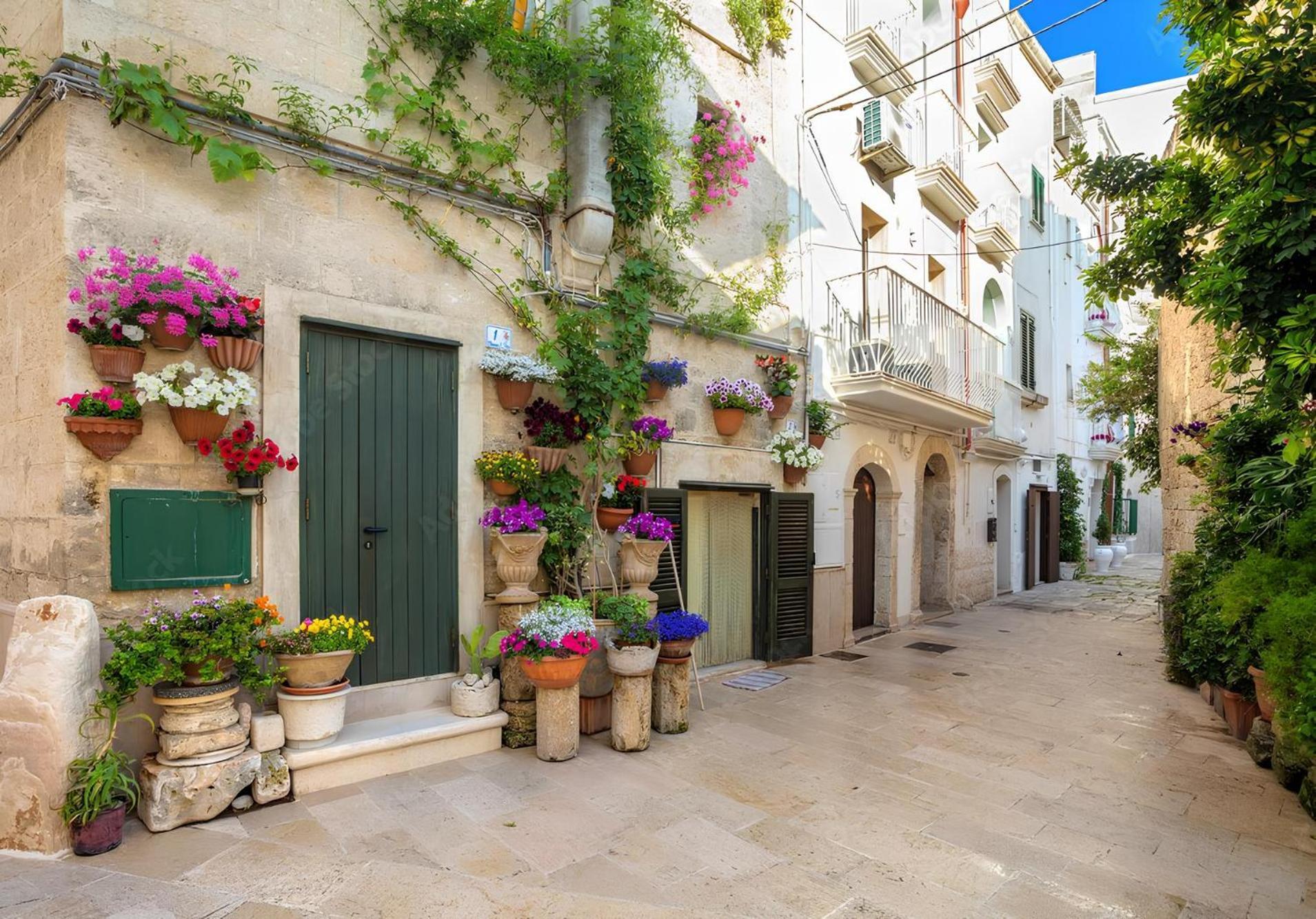 Loft57 L&g - Centro Storico Bari