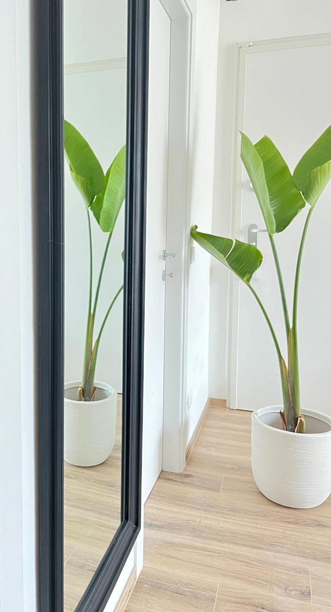Elegant Penthouse Near * Bari