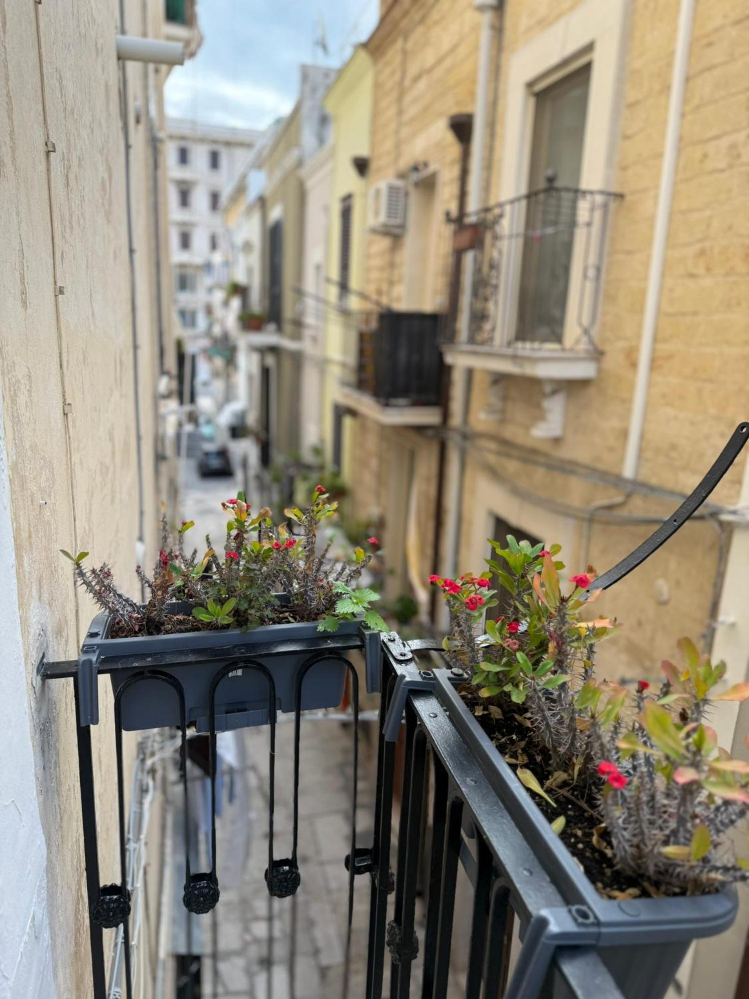Carlo's Guest house