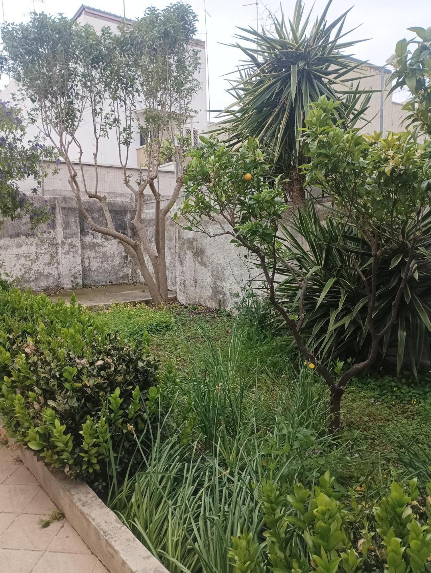 Duca Guest house