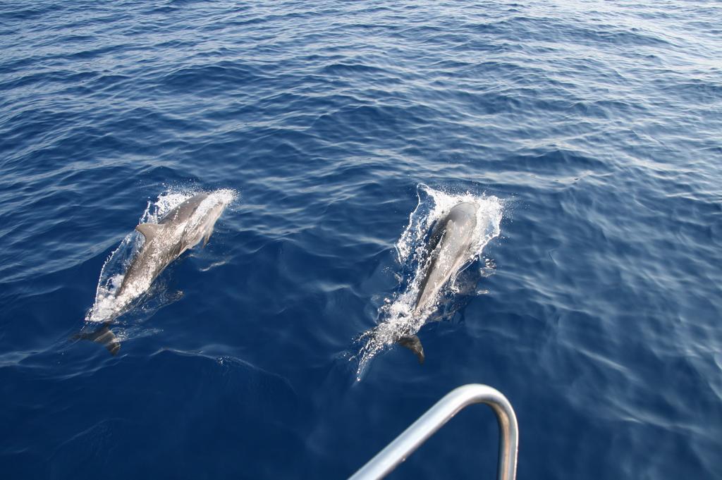 Waypoint Azzurra Botel 3*