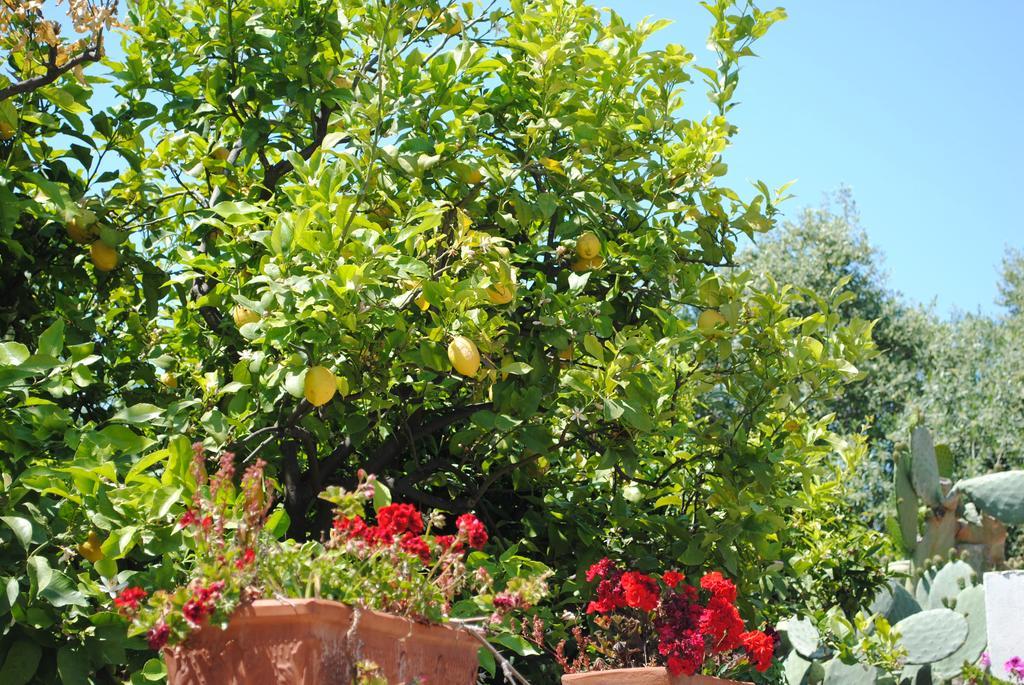 Annavi Bed & Breakfast