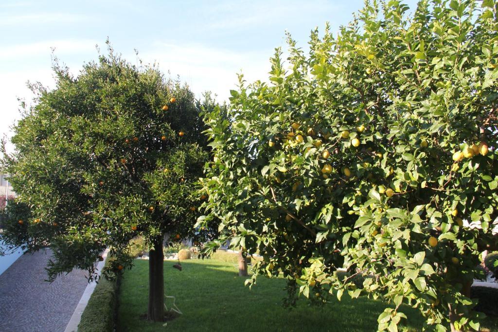 La Rosa Blu Bari