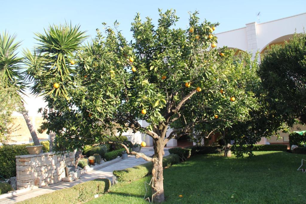 La Rosa Blu Bed & Breakfast 2*