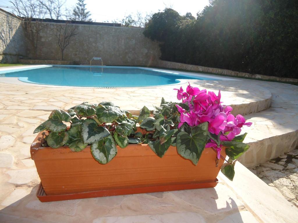 Dafne Guest house 2*
