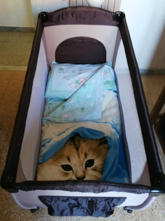 I Due Baroni - Fronte Campus Bed & Breakfast *