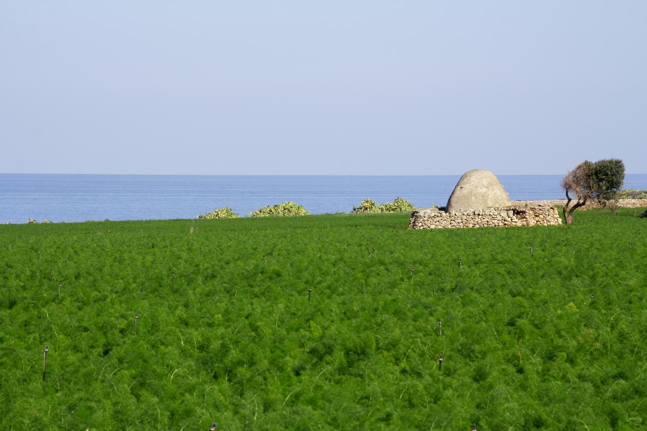 La Rosa Blu Nocleg ze śniadaniem Bari