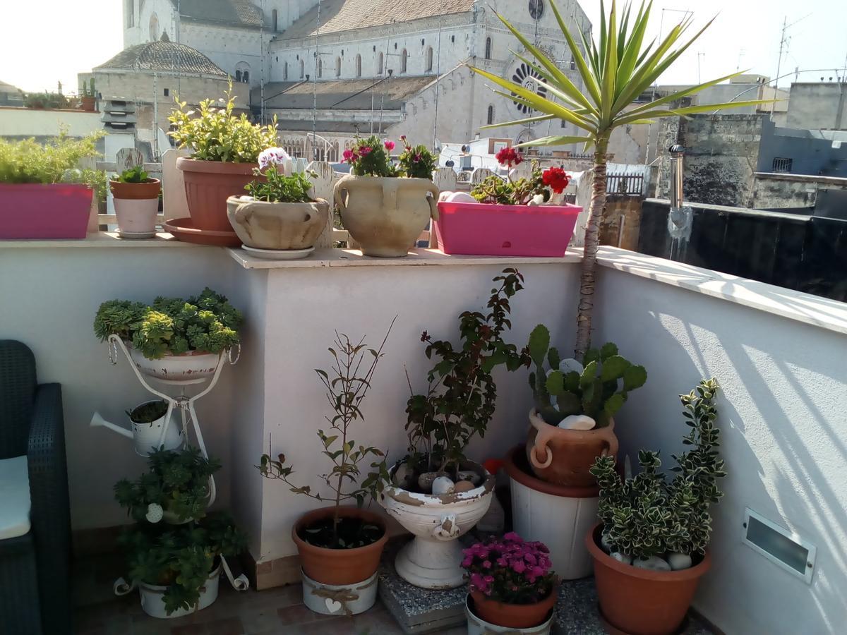 La Maison Del Borgo Antico Bed & Breakfast Bari