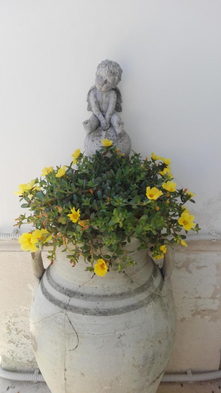 Bed & Breakfast Longo De Bellis *