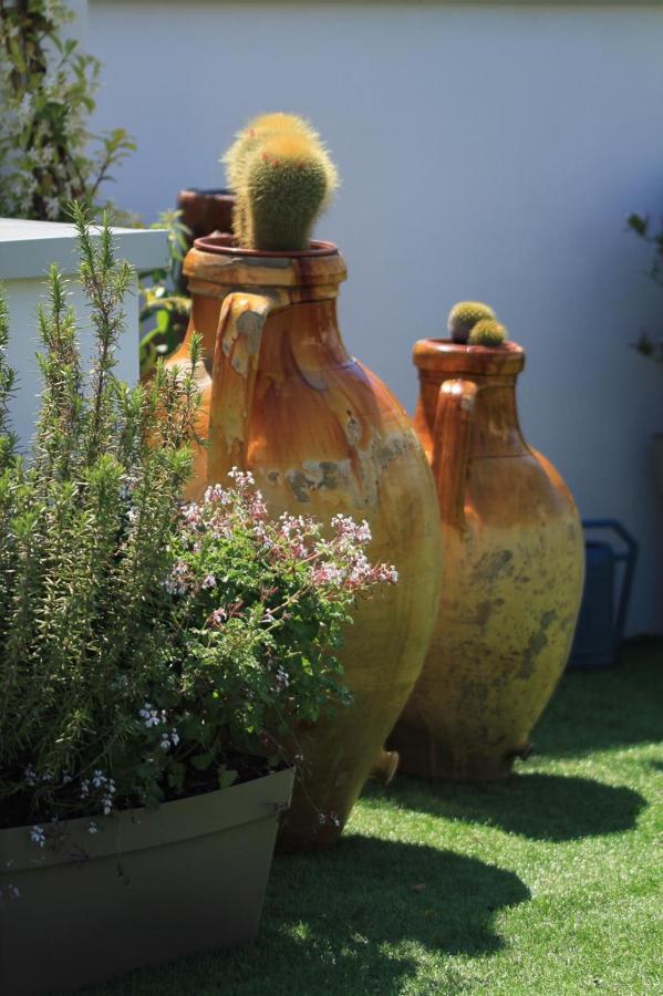 Apartment Cattedralflats -comfort, Stile E Vista Sulla Cattedrale *