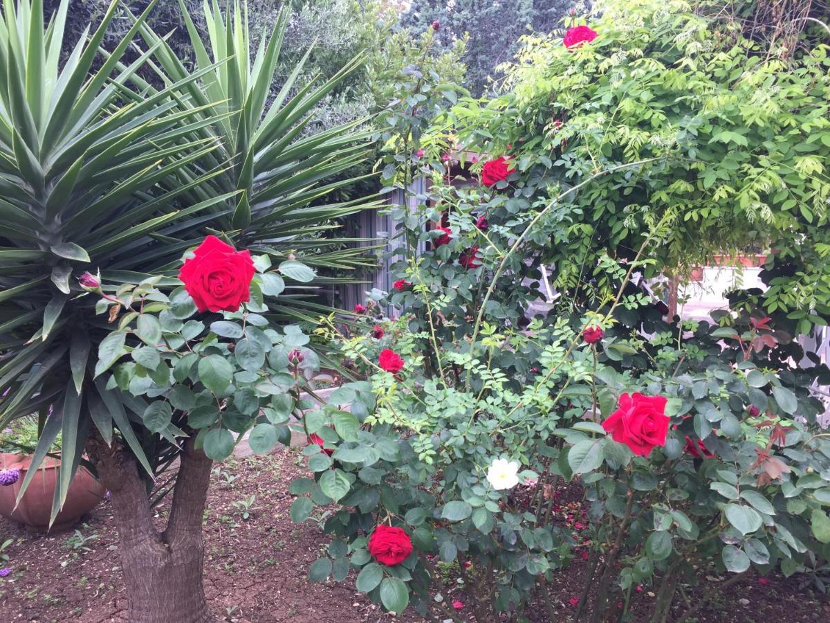 Guest house Il Giardino Della Foglia